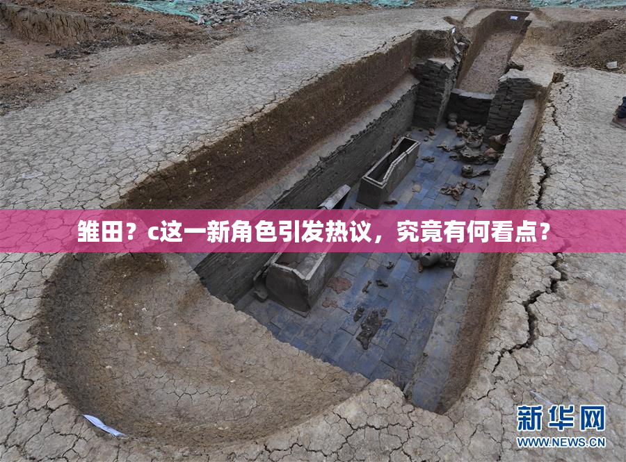 雏田？c这一新角色引发热议，究竟有何看点？