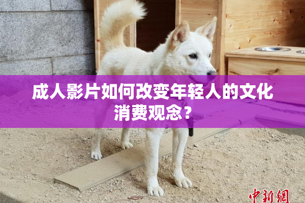 成人影片如何改变年轻人的文化消费观念？