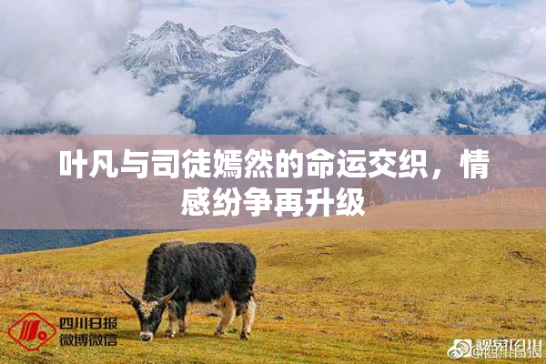 叶凡与司徒嫣然的命运交织，情感纷争再升级