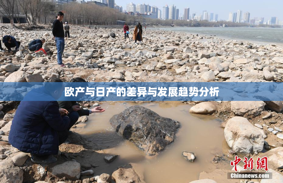 欧产与日产的差异与发展趋势分析
