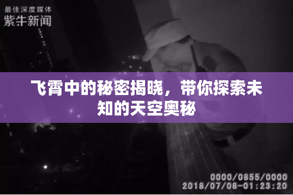 飞霄中的秘密揭晓，带你探索未知的天空奥秘