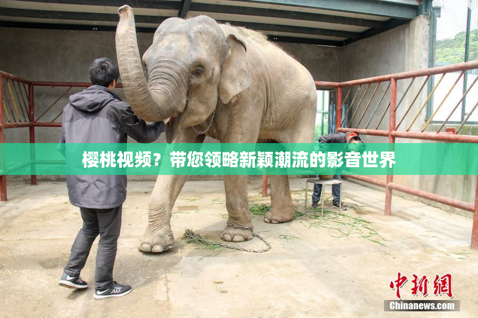 樱桃视频？带您领略新颖潮流的影音世界