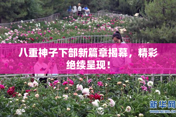 八重神子下部新篇章揭幕，精彩绝续呈现！