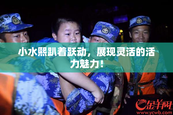 小水熙趴着跃动，展现灵活的活力魅力！