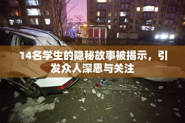 14名学生的隐秘故事被揭示，引发众人深思与关注