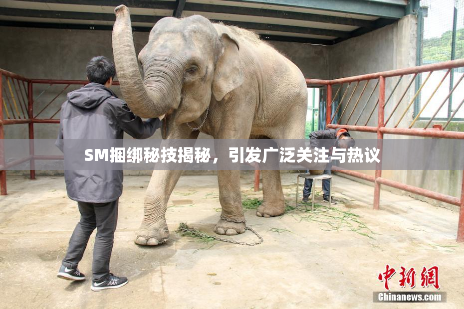 SM捆绑秘技揭秘，引发广泛关注与热议