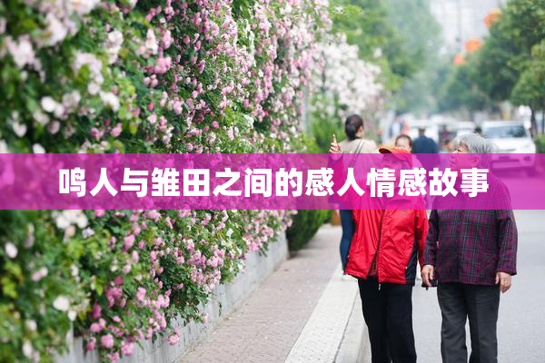 鸣人与雏田之间的感人情感故事