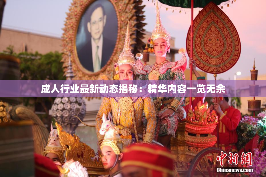 成人行业最新动态揭秘：精华内容一览无余