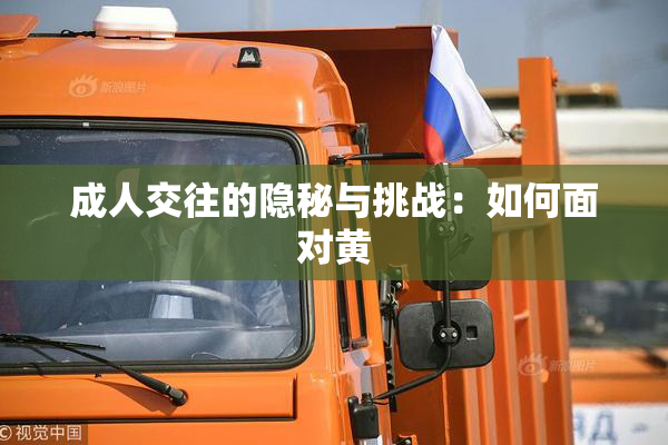 成人交往的隐秘与挑战：如何面对黄