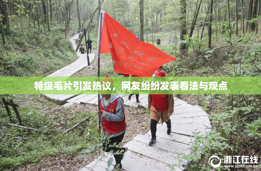 特级毛片引发热议，网友纷纷发表看法与观点