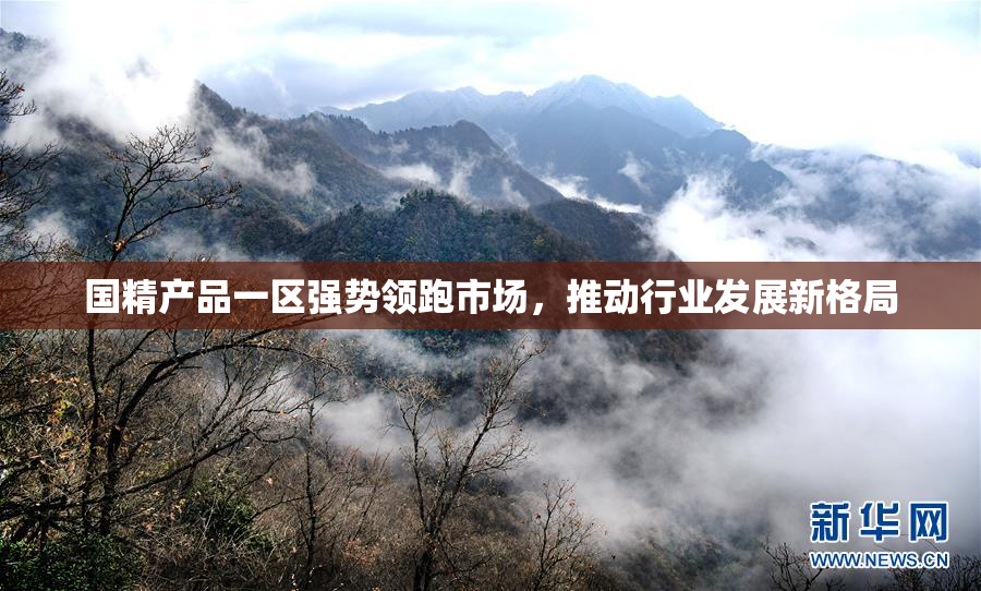 国精产品一区强势领跑市场，推动行业发展新格局