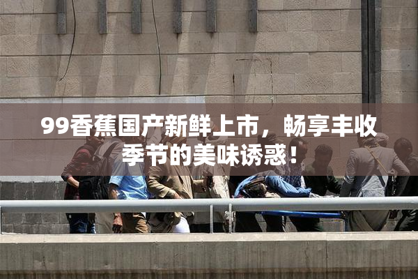 99香蕉国产新鲜上市，畅享丰收季节的美味诱惑！
