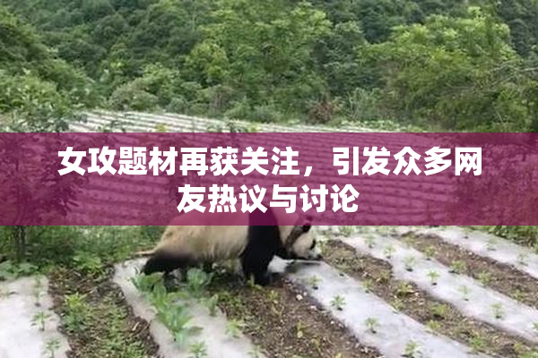 女攻题材再获关注，引发众多网友热议与讨论