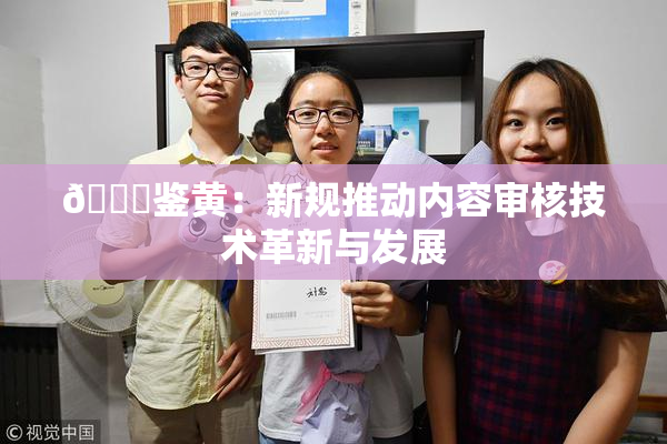 🔞鉴黄：新规推动内容审核技术革新与发展