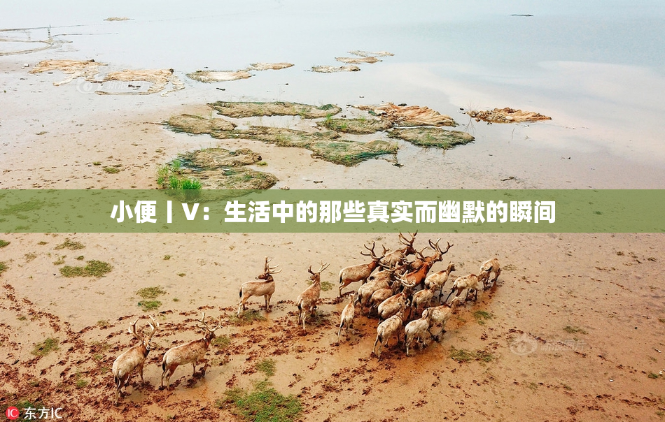 小便丨V：生活中的那些真实而幽默的瞬间