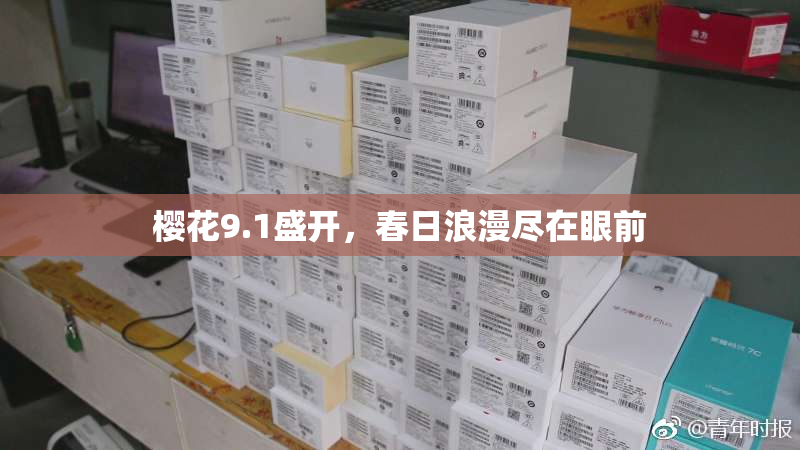 樱花9.1盛开，春日浪漫尽在眼前