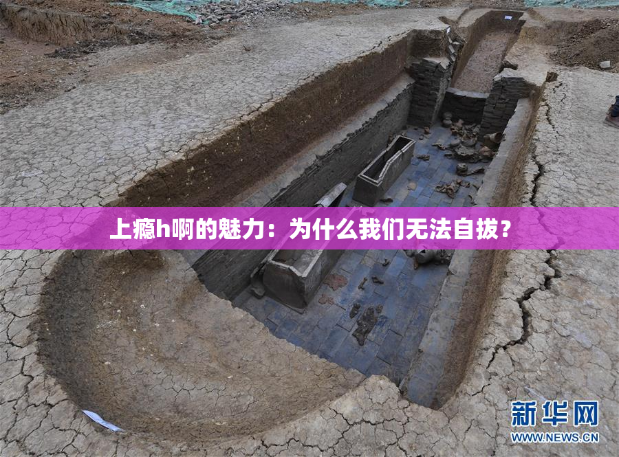 上瘾h啊的魅力：为什么我们无法自拔？
