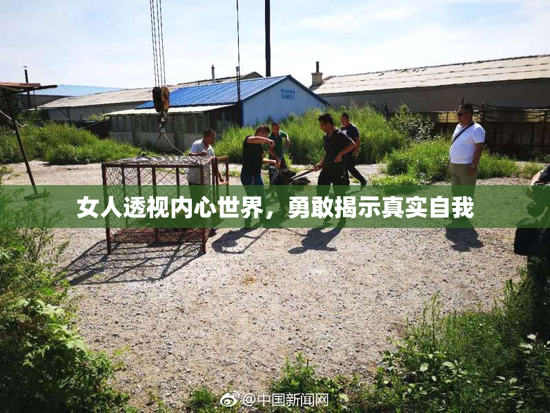 女人透视内心世界，勇敢揭示真实自我
