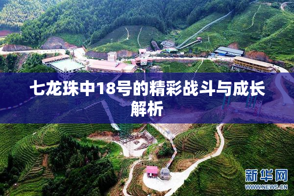 七龙珠中18号的精彩战斗与成长解析