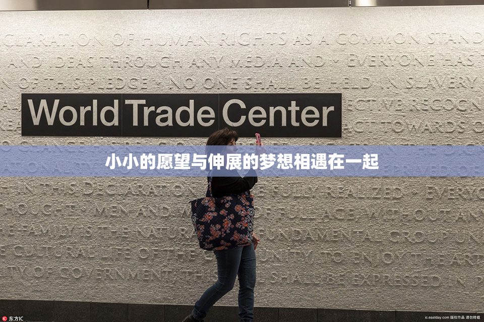 小小的愿望与伸展的梦想相遇在一起