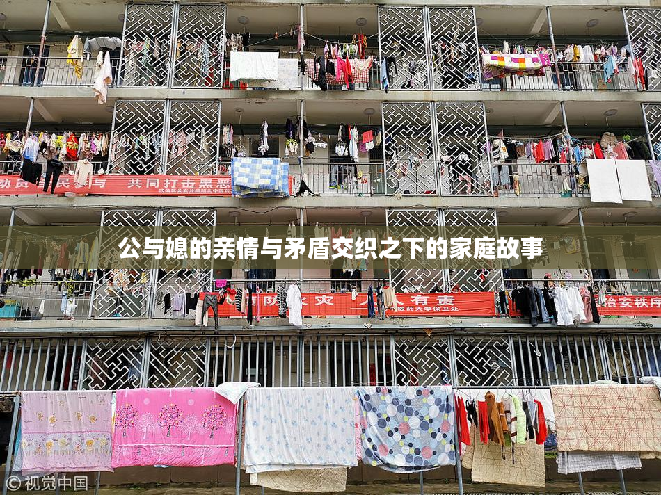 公与媳的亲情与矛盾交织之下的家庭故事