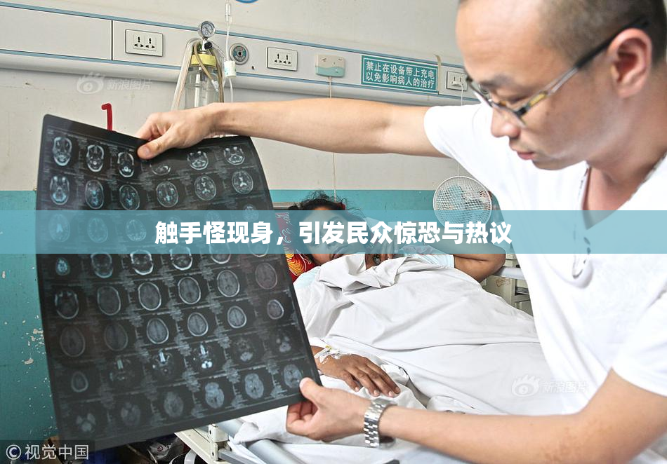 触手怪现身，引发民众惊恐与热议