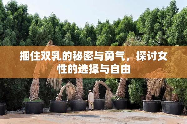 捆住双乳的秘密与勇气，探讨女性的选择与自由