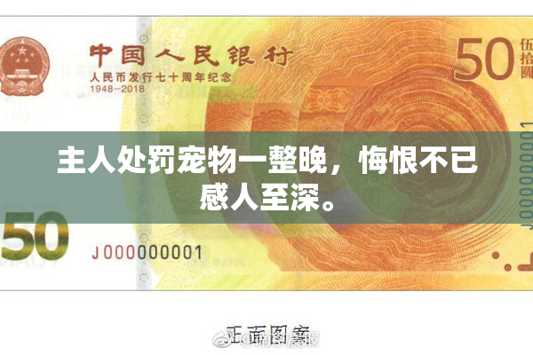 主人处罚宠物一整晚，悔恨不已感人至深。