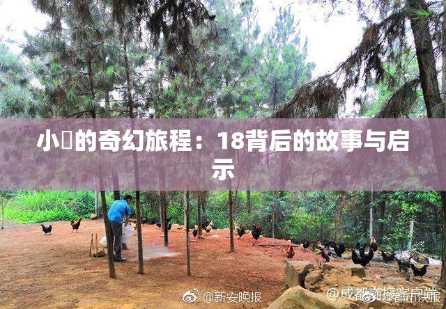 小泬的奇幻旅程：18背后的故事与启示