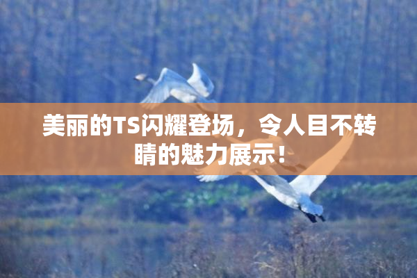 美丽的TS闪耀登场，令人目不转睛的魅力展示！
