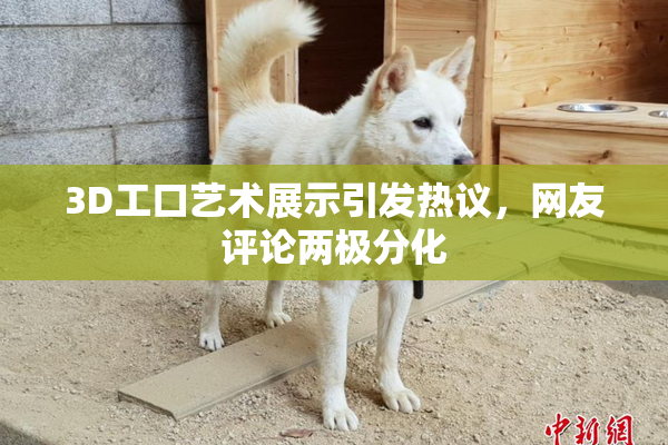 3D工口艺术展示引发热议，网友评论两极分化