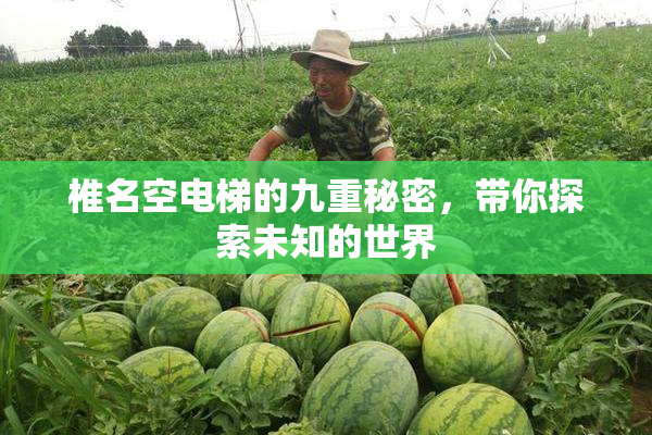 椎名空电梯的九重秘密，带你探索未知的世界