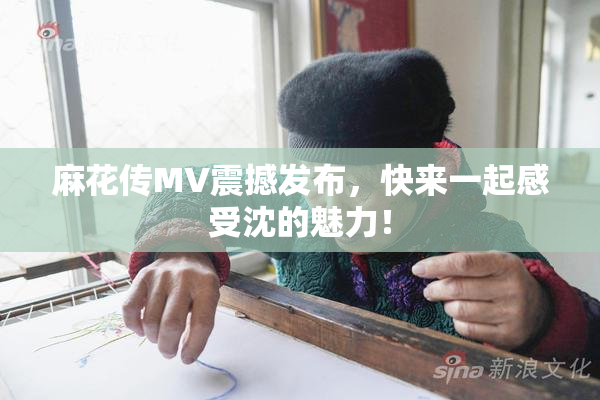 麻花传MV震撼发布，快来一起感受沈的魅力！