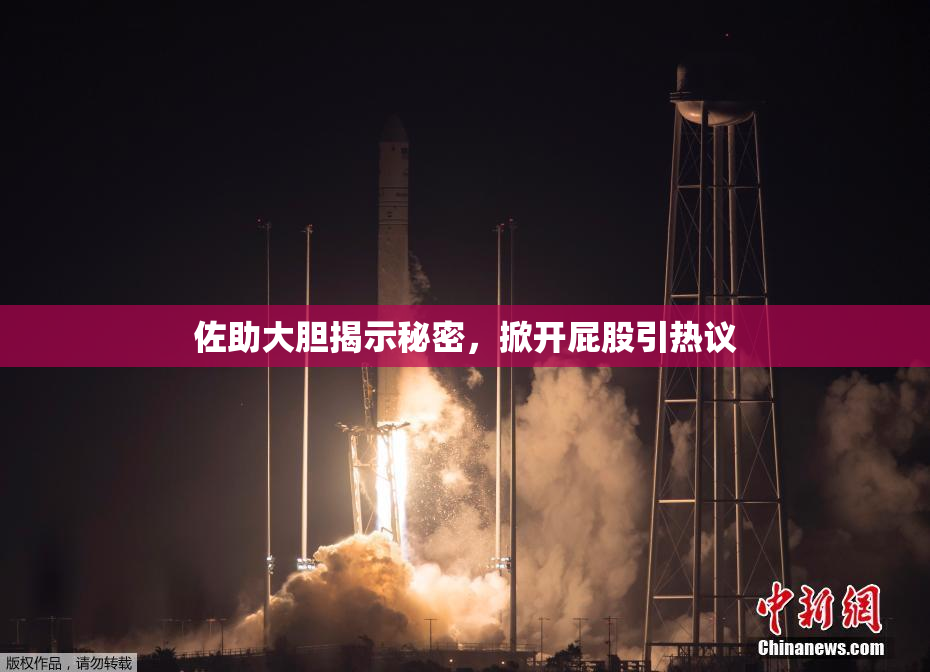 佐助大胆揭示秘密，掀开屁股引热议
