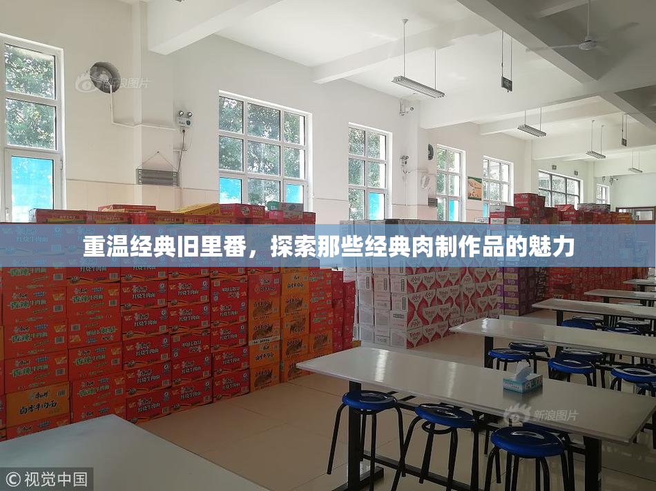 重温经典旧里番，探索那些经典肉制作品的魅力