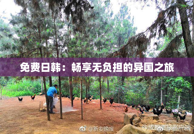 免费日韩：畅享无负担的异国之旅