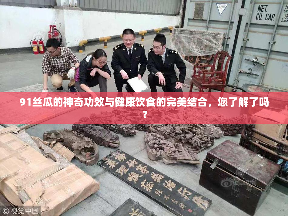 91丝瓜的神奇功效与健康饮食的完美结合，您了解了吗？