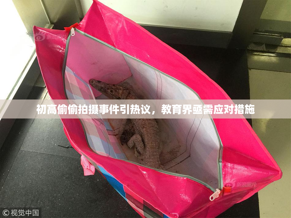 初高偷偷拍摄事件引热议，教育界亟需应对措施