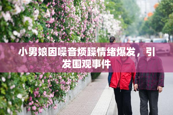 小男娘因噪音烦躁情绪爆发，引发围观事件