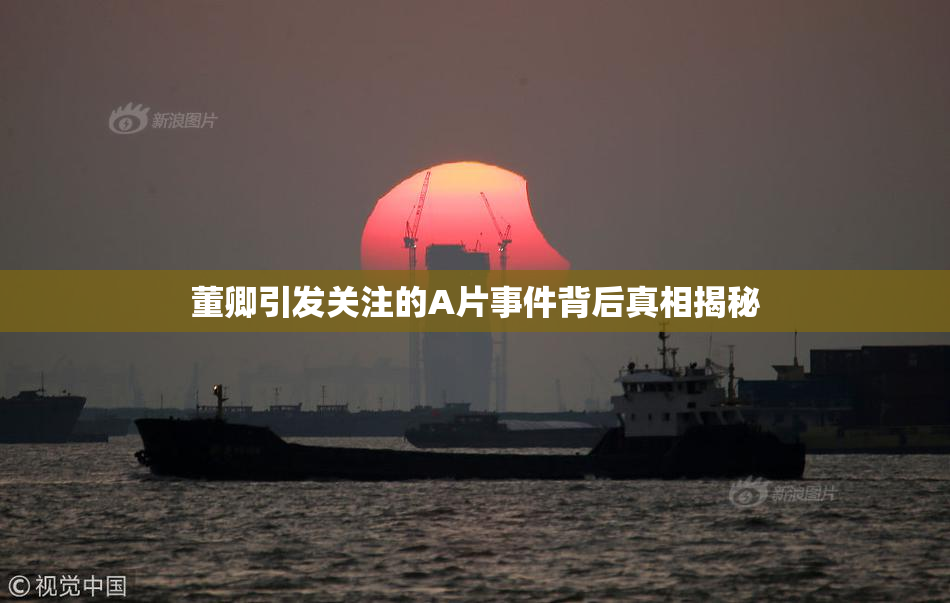 董卿引发关注的A片事件背后真相揭秘
