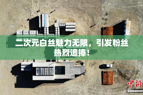 二次元白丝魅力无限，引发粉丝热烈追捧！