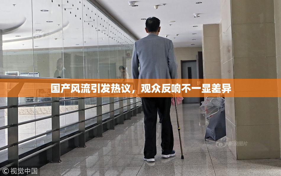 国产风流引发热议，观众反响不一显差异