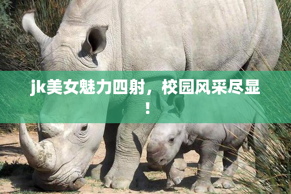 jk美女魅力四射，校园风采尽显！