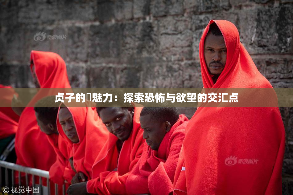 贞子的婬魅力：探索恐怖与欲望的交汇点