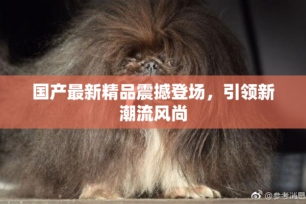 国产最新精品震撼登场，引领新潮流风尚