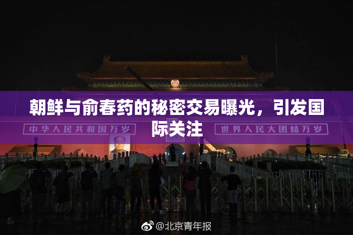 朝鲜与俞春药的秘密交易曝光，引发国际关注