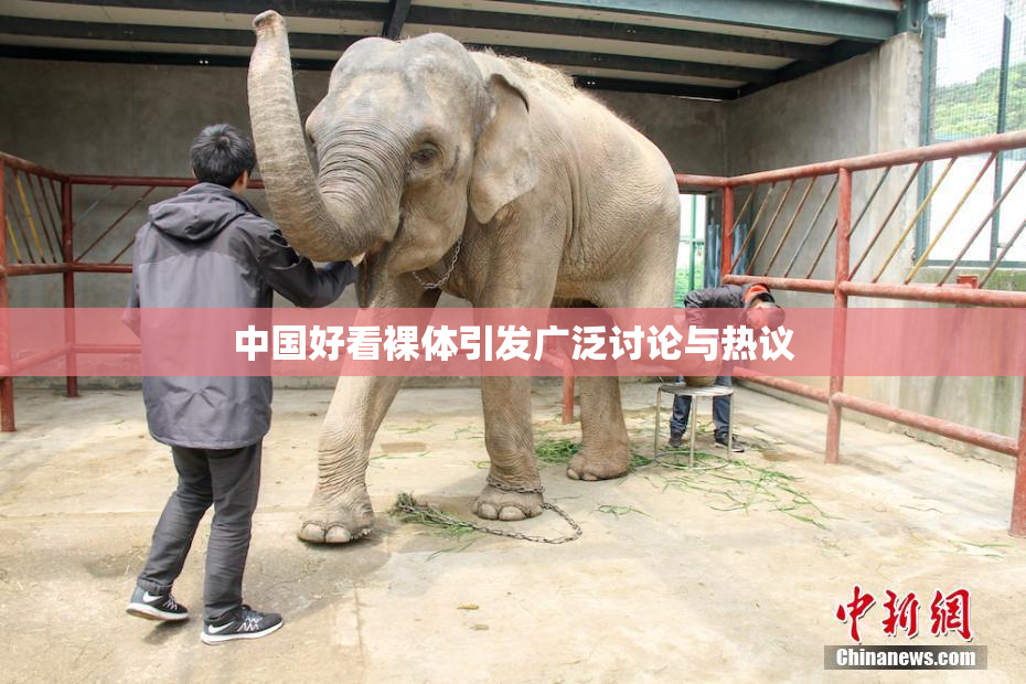中国好看裸体引发广泛讨论与热议
