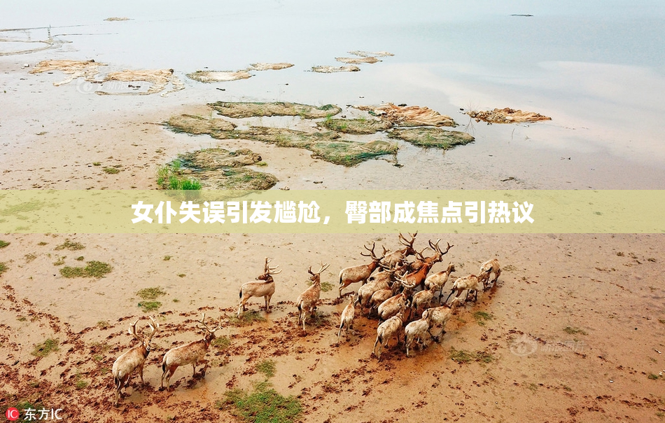 女仆失误引发尴尬，臀部成焦点引热议