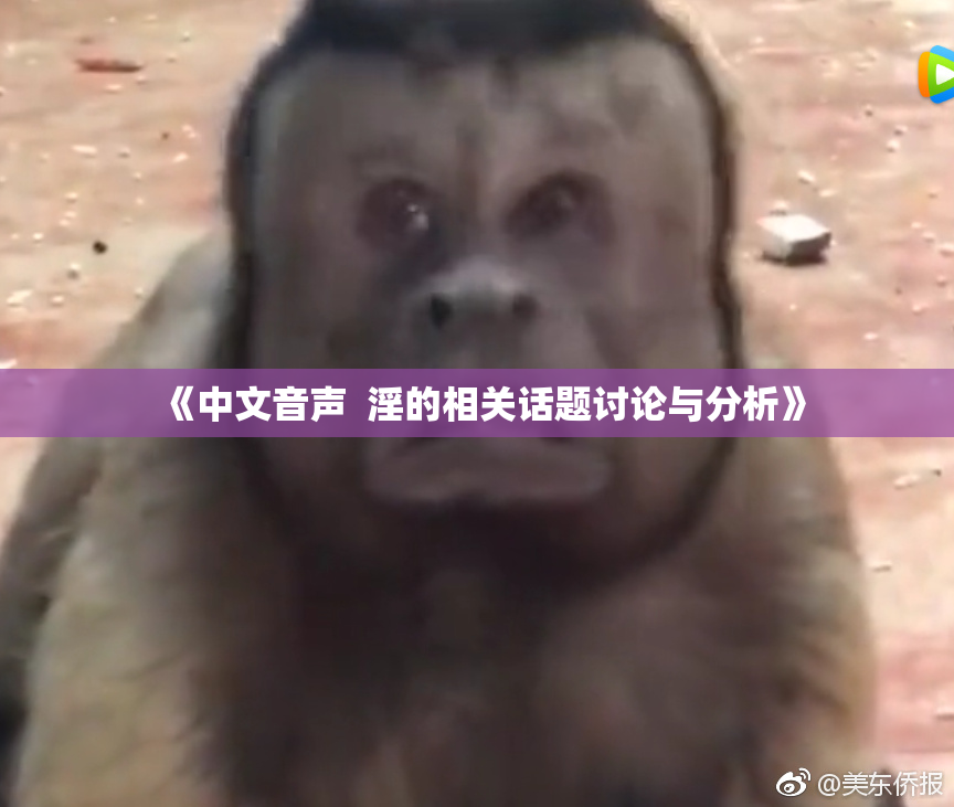 《中文音声  淫的相关话题讨论与分析》