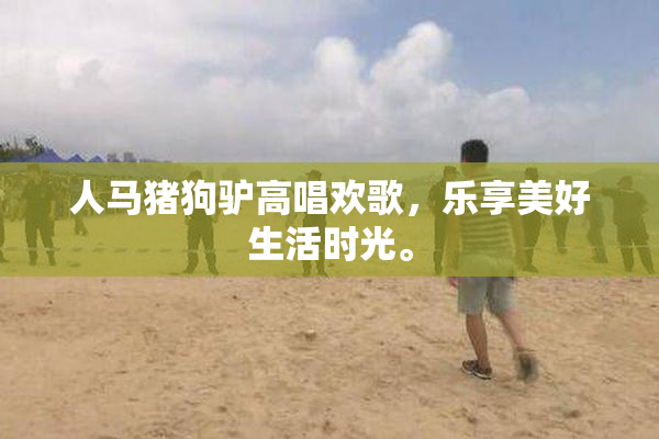 人马猪狗驴高唱欢歌，乐享美好生活时光。